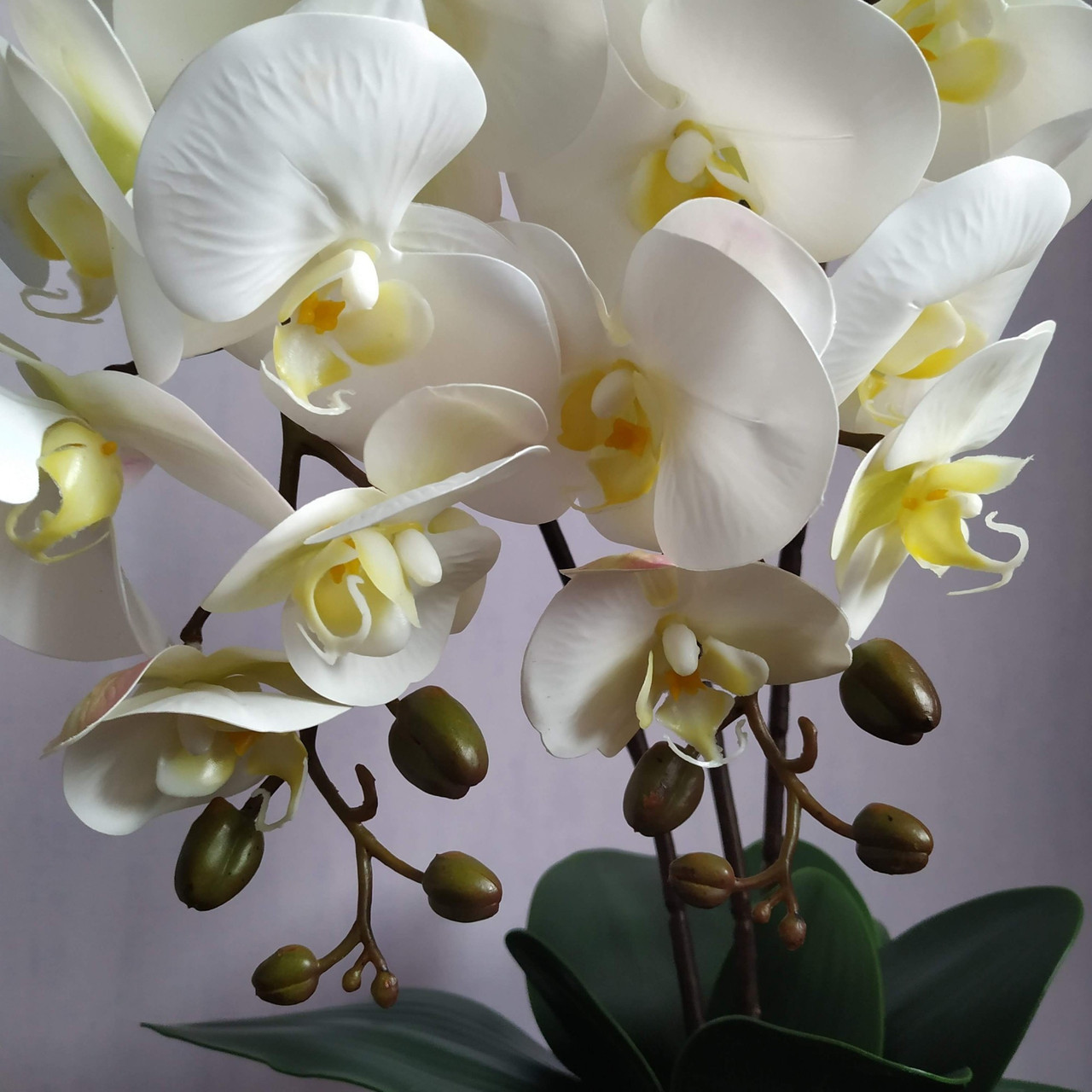 Искусственная латексная орхидея VIP в белом керамическом кашпо на три ветки белая (О3КГ01040103) - фото 2 - id-p1723152800