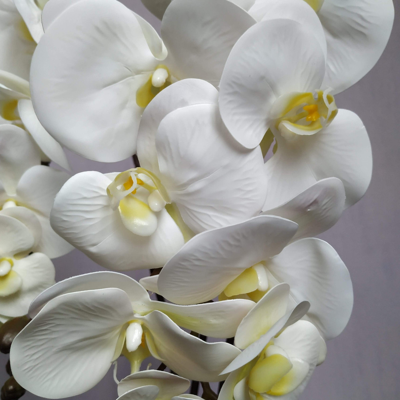 Искусственная латексная орхидея VIP в белом керамическом кашпо на три ветки белая (О3КГ01040103) - фото 3 - id-p1723152800