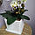 Штучна латексна орхідея VIP у білому керамічному кашпо на три гілки біла (О3КГ01040103), фото 4