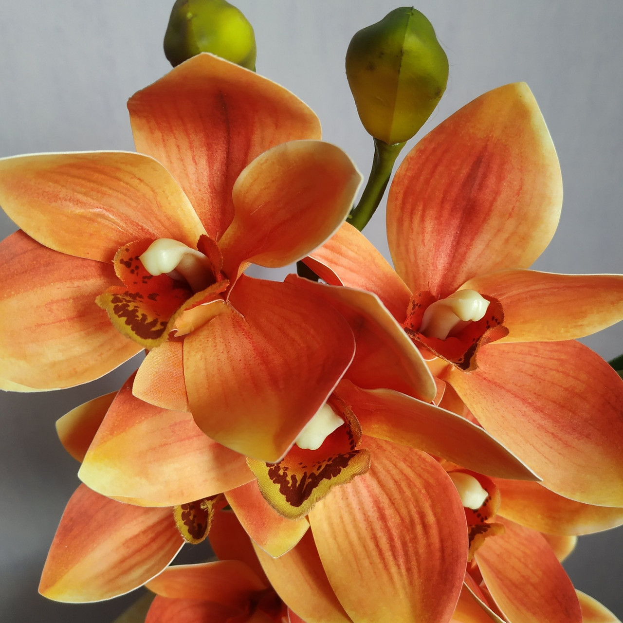 Искусственная латексная орхидея цимбидиум в молочном керамическом кашпо оранжевая (ОКГ01042303) - фото 5 - id-p1723152822