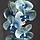 Штучна латексна орхідея VIP у синьому керамічному кашпо на одну блакитну гілку (ОКГ13051003), фото 2