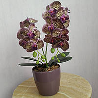 Искусственная латексная бордовая мини орхидея в бордовом пластиком кашпо на две ветки тигровая (ОМП18003003)