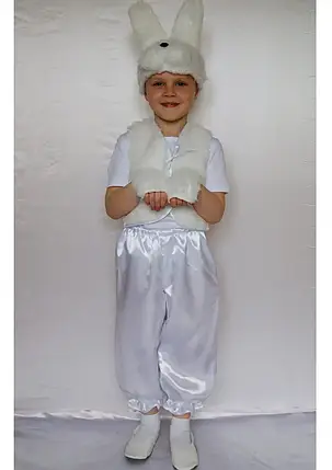 Маскарадний костюм Зайчик для хлопчика 3-6 років, фото 2
