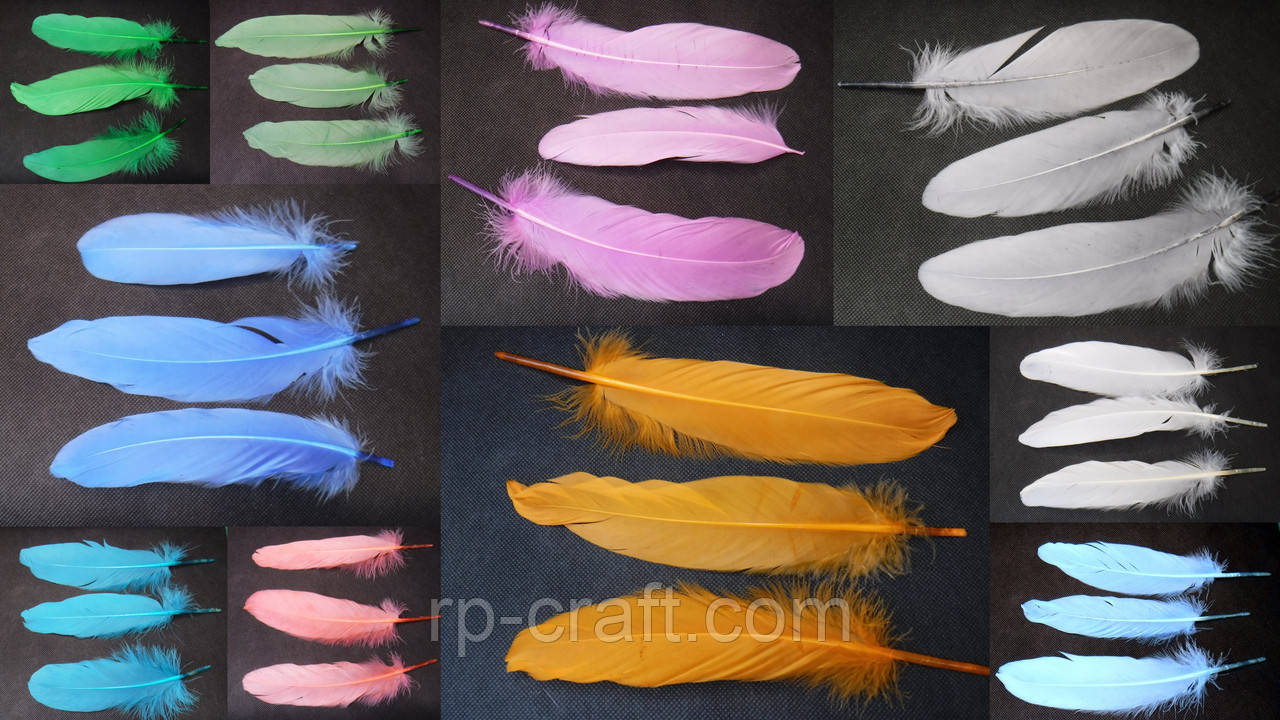 Перо гусяче, велике, 13-20 см, фото 1