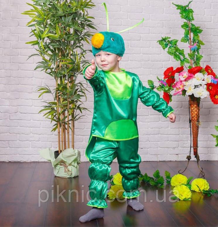 Детский костюм Кузнечика для мальчиков 4,5,6,7 лет 340 - фото 1 - id-p1723329771