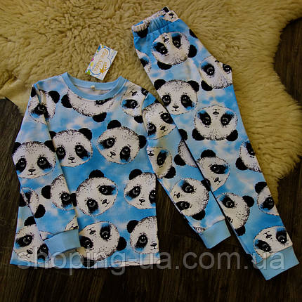 Дитяча піжама з начосом панда голуба Five Stars 10642-104р, фото 2