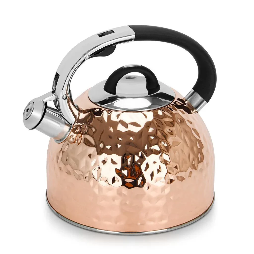 Чайник для кип'ятіння води "Nicole" 23х20х22 см/2500 мл із неіржавкої сталі Fissman, фото 1