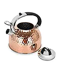 Чайник для кип'ятіння води "Nicole" 23х20х22 см/2500 мл із неіржавкої сталі Fissman, фото 2