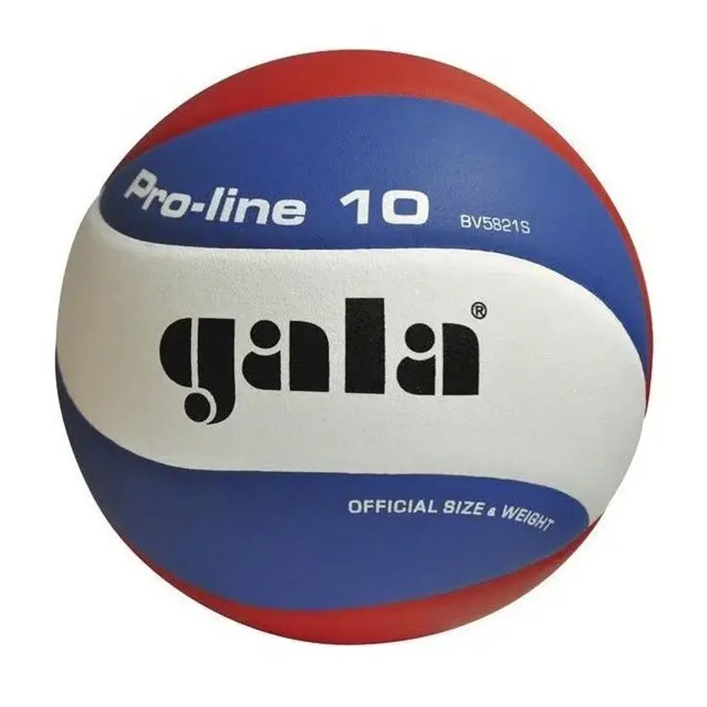 М'яч волейбольний Gala Pro-Line BV5821S