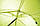 Намет туристичний тримісний всесезонний 3F UL GEAR Qingkong 3 15d 4 season green, фото 5