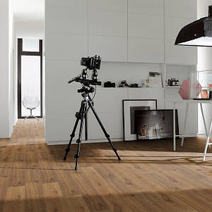 Ламінат Parador Basic 600 V4