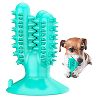 Іграшка для хатніх тварин із присоскою кактус