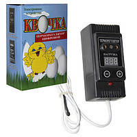 Терморегулятор цифровий Квочка