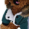 Куртка з капюшоном для собак Pet Style "Jacket" Зелена S, фото 5