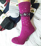 Шкарпетки жіночі термо Фенна із собачої вовни 37-41 | 6 пар, фото 2