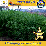 Кріп кустовий темній, жаростійкий БРУМ , 500 грам, Spark seeds (США), фото 2