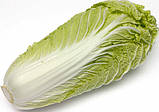 Насіння пекінської капусти Саммер Хайленд F1 20 шт. NongWoo Bio, фото 2