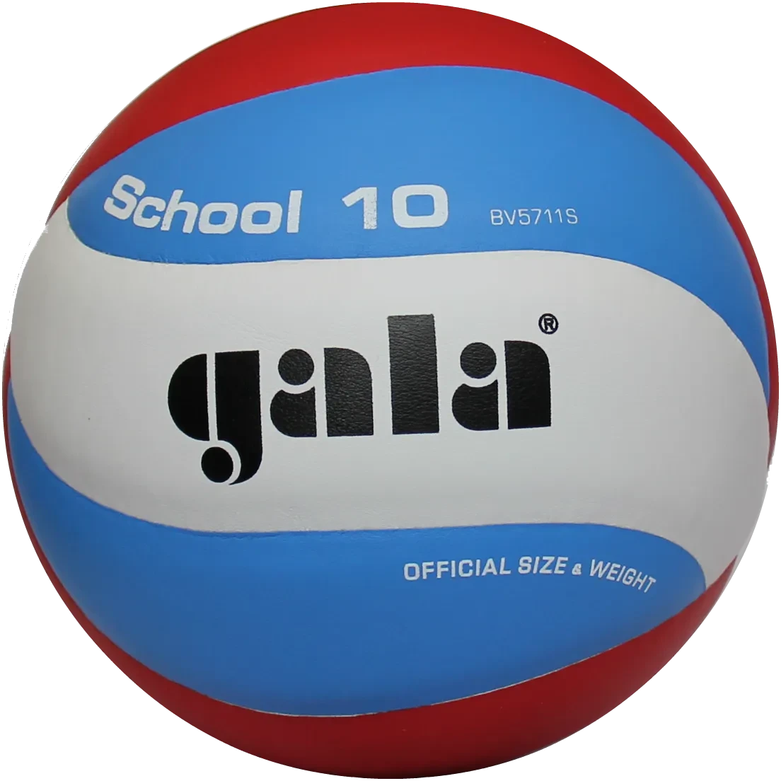 М’яч волейбольний Gala School 10 BV5711S, фото 1