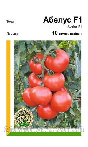 Насіння томат Абелус F1 10 шт. Rijk Zwaan Голландія, фото 1