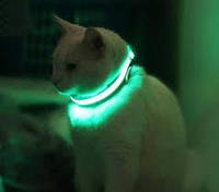Светящийся ошейник для собак и кошек 32-43 см Зеленый