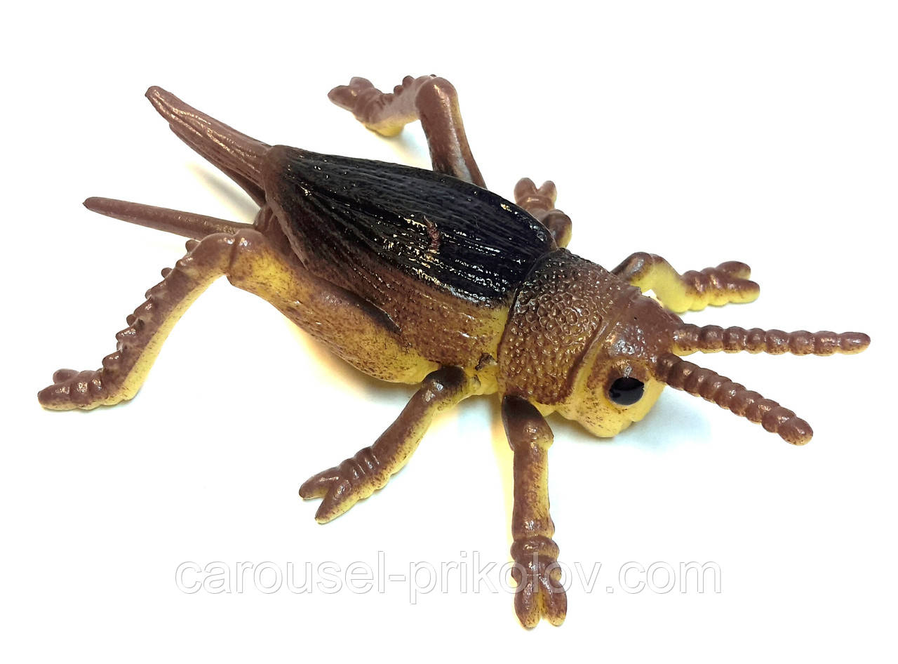 Лізун кузнєчик слім, фото 1