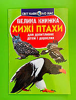 Велика книжка Хижі птахи. Для допитливих хлопчиків і дівчаток. Світ навколо нас
