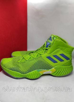 adidas pro bounce mid b41856