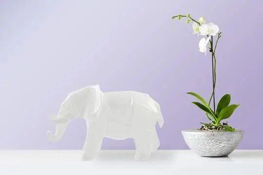Подарочная фигурка слона Kayoom декоративная белая 33x15x21 см. 168568 - фото 5 - id-p1724120536