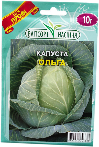 Насіння капусти білокачанної Ольга 10 г пізня, фото 1