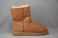 Ugg Australia Classic Short угги ботинки сапоги мужские зимние овчина цигейка. Оригинал. 45.5 р./30 см.