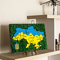 Карта України з мохом.