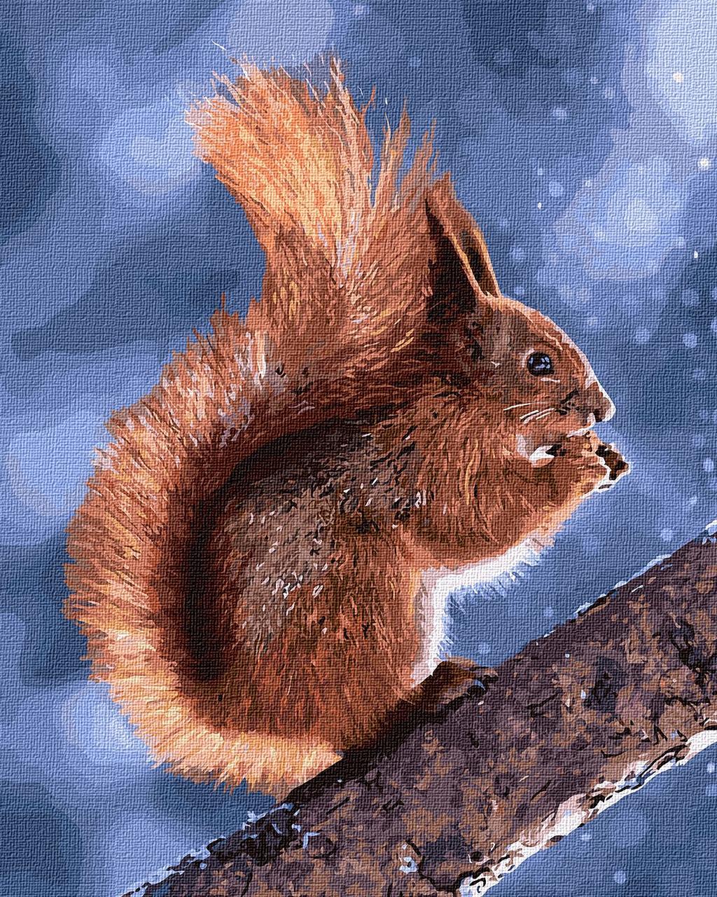 Картина за номерами "Маленька білочка" 40*50 см Ідейка KHO 4205, фото 1