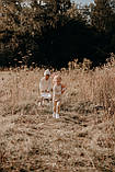 Коляска Smoby Baby Nurse Прогулянка з поворотними колесами Рожева пудра (251218), фото 10