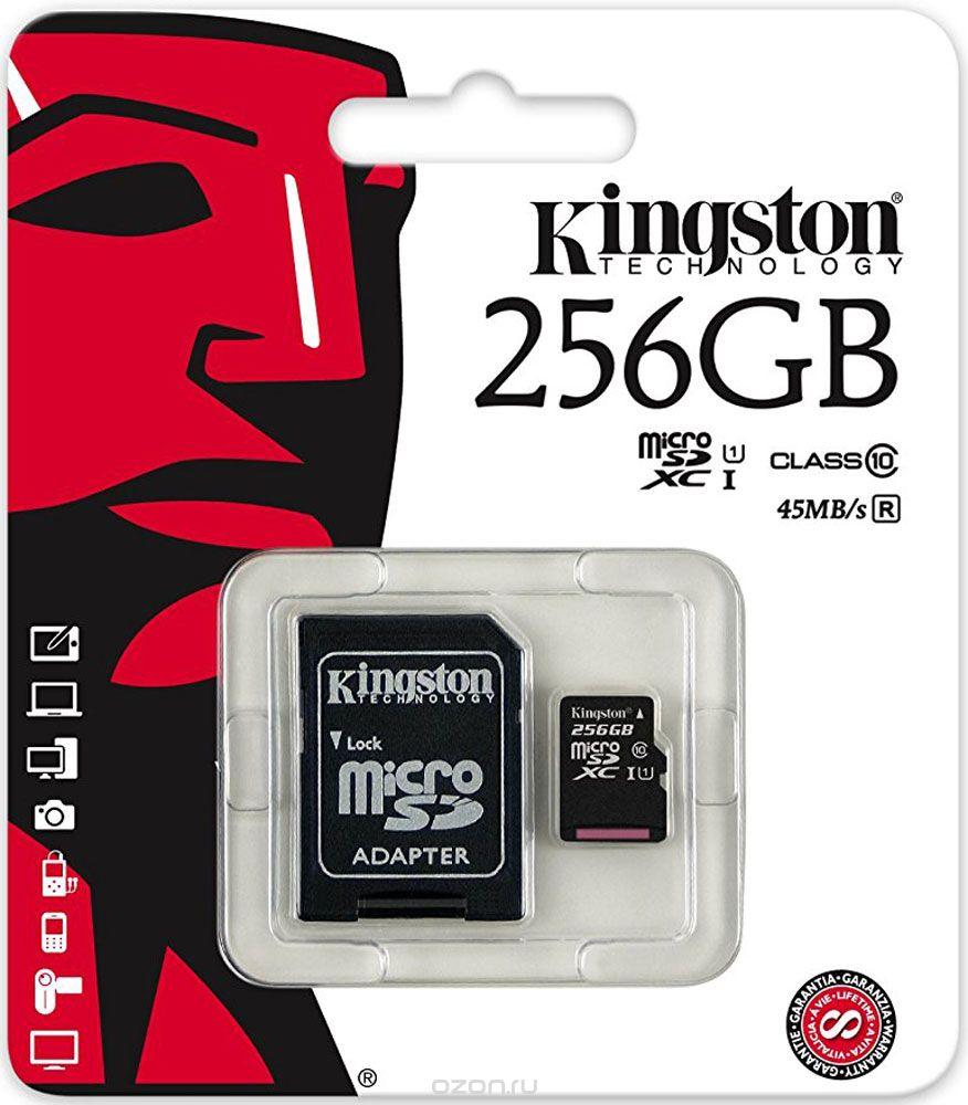 Kingston microSDXC + SD adapter (SDCR/256GB)