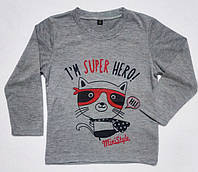 Свитшот футболка с длинным рукавом серого цвета для мальчиков с надписью "I'M SUPER HERO " р 104