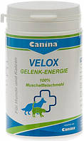 Canina «Velox Gelenkenergie» Комплексный хондропротектор для собак и кошек, порошок 150 г