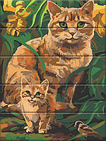 Картина за номерами на дереві "Руді котики" 30*40 см