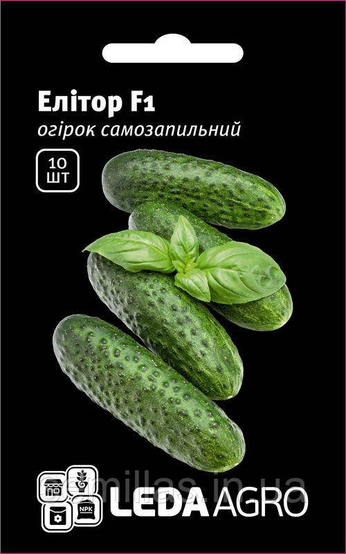 Насіння огірка Елітор F1, 10 шт, самозапильного, ТМ "Лєда Агро"