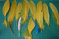 Набор бракованных перьев №1, 14 штук