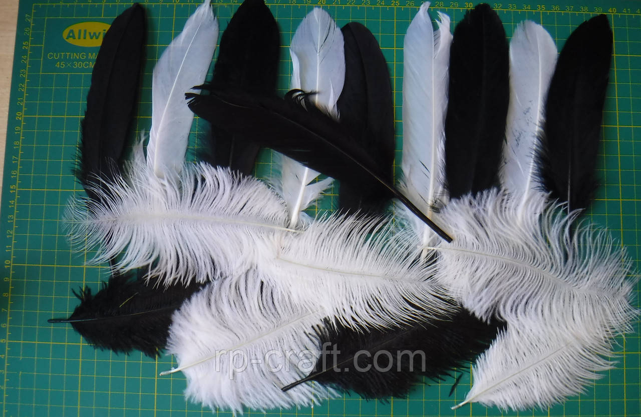 Набір бракованого пір'я №2, 17 штук, фото 1