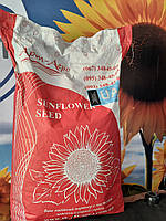 Гібрид соняшника Сантос A-F+. Насіння соняшнику Сантос 45ц/га. Соняшник Сантос під Євролайтинг., фото 3