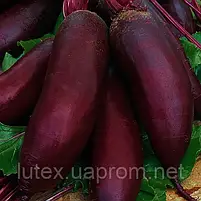 Буряк Опольський / Opolski 50г Spojnia, Польща, фото 2