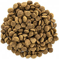 Сухий корм для котів великих порід Brit Care Cat GF Large cats Power & Vitality (курка та качка) 400 г, фото 2