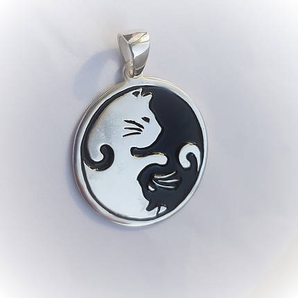 Інь Янь кошенят, фото 1