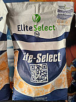 Насіння соняшника [ЄС АЛЬФА]. Насіння (ЕС АЛЬФА). Соняшник "ЕС АЛЬФА". АЛЬФА ЕЛІТА СЕЛЕКТ. Стандарт плюс, фото 3