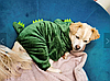 Костюм комбінезон для собак Pet Style "Діно" Зелений XS, фото 7