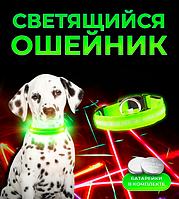 Светящийся ошейник для собак DogClub L (45-55 см) зеленый