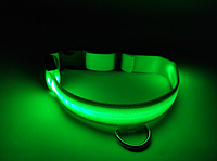 Светящийся ошейник для собак DogClub L (45-55 см) зеленый