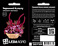 Пряно-смакові рослини, Червоний Калалу, амарант овочевий 0,2 г (Leda Agro), фото 2