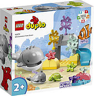 Lego Duplo Дикие животные океана 10972